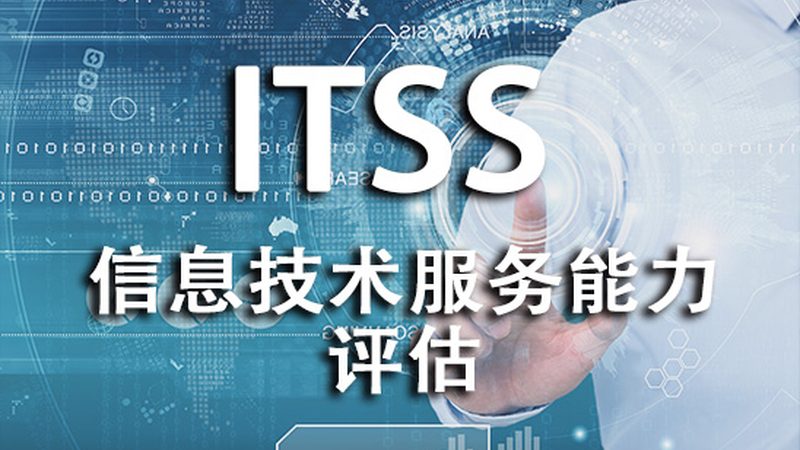 IT咨询报价方案：如何从资质与案例中洞察价值**